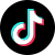 tiktok icon